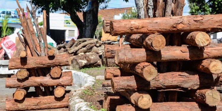 Comerciantes de fogueira e milho devem solicitar uso do espaço público à Emsurb