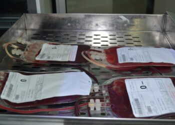 Hemose abre inscrições para atualização de enfermagem na Hemoterapia