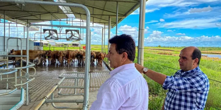 “Quem produz e gera emprego terá o nosso apoio”, diz Valmir de Francisquinho em visita a Nossa Senhora da Glória