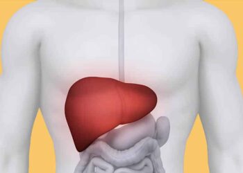 Saúde orienta profissionais sobre notificação da Hepatite Aguda Grave em crianças e adolescentes em Sergipe