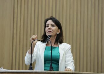 “Temos um Terminal moderno e uma frota sucateada”, diz Emília
