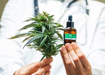 Faculdade promove encontro nesta terça, 17, para discutir o uso da cannabis em tratamentos
