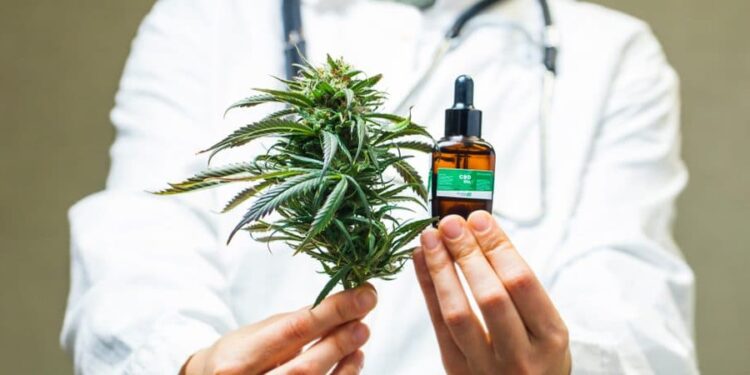 Faculdade promove encontro nesta terça, 17, para discutir o uso da cannabis em tratamentos