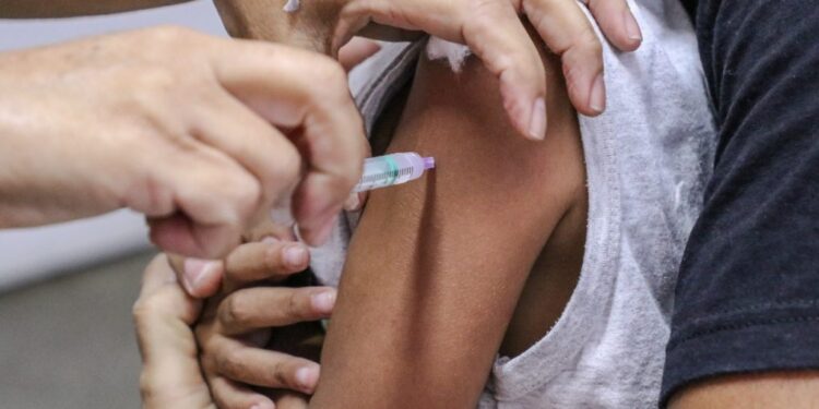 Campanha de vacinação contra a influenza encerra nesta sexta, 24