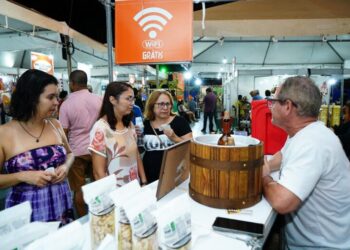 Quase 70% das empresas ativas no país são MEI, divulga ministério