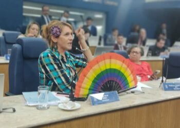 Linda Brasil faz defesa de emendas que garantiriam direitos das servidoras/es da Previdência