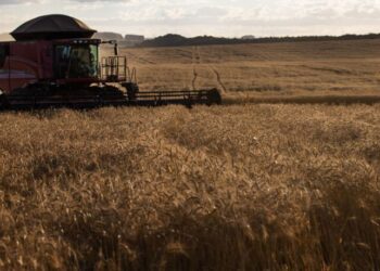 Crédito do Banco do Nordeste para inovação rural cresce 220% em 2022