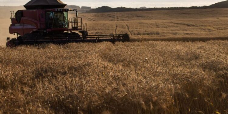 Crédito do Banco do Nordeste para inovação rural cresce 220% em 2022