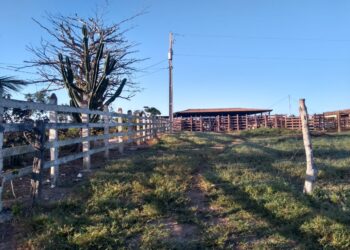 Produtores rurais podem reduzir custos com a tarifa rural