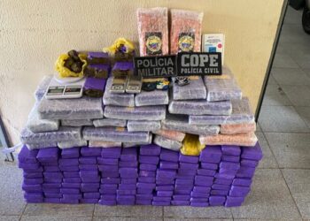 Mulher é presa em Itaporanga com 150 kg de drogas