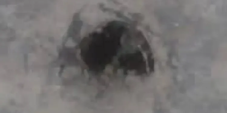 Operação no Compajaf encontra buraco que poderia ser utilizado para uma possível fuga de detentos