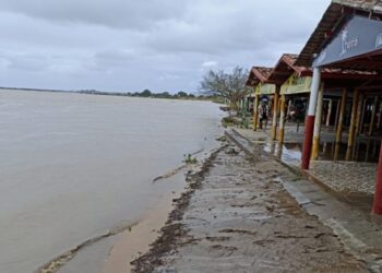 Após nível da água baixar, limpeza é realizada na Prainha de Telha