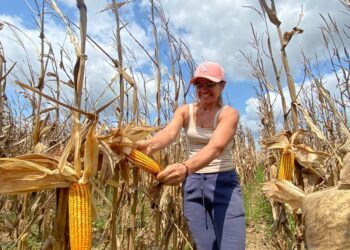 Senar Sergipe abre credenciamento para profissionais de nível técnico e superior em Ciências Agrárias
