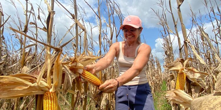 Senar Sergipe abre credenciamento para profissionais de nível técnico e superior em Ciências Agrárias