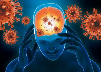 Quais vírus podem causar meningite?