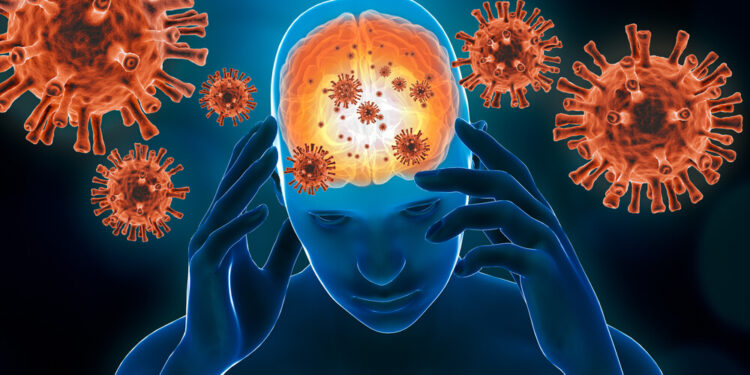Quais vírus podem causar meningite?