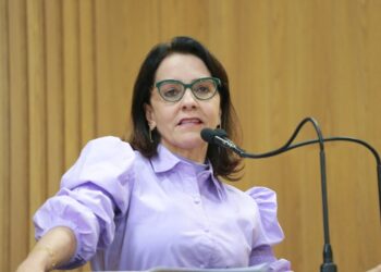 Emília cobra que PMA cumpra Lei de Transparência nas placas de obras