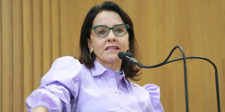 Emília cobra que PMA cumpra Lei de Transparência nas placas de obras