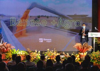 Com 99,8 milhões, Banese bate recorde em crédito rural no ano agrícola 2021-2022