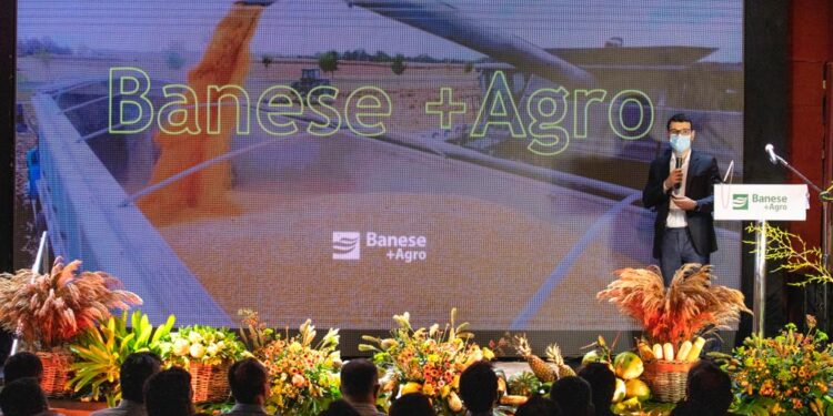 Com 99,8 milhões, Banese bate recorde em crédito rural no ano agrícola 2021-2022