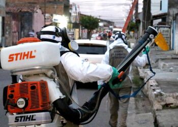 Aedes aegypti: Prefeitura reforça ações de combate nos bairros com alto risco de infestação em Aracaju