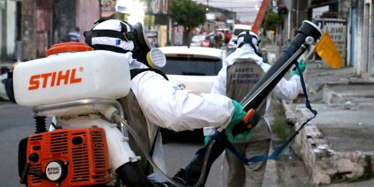 Aedes aegypti: Prefeitura reforça ações de combate nos bairros com alto risco de infestação em Aracaju