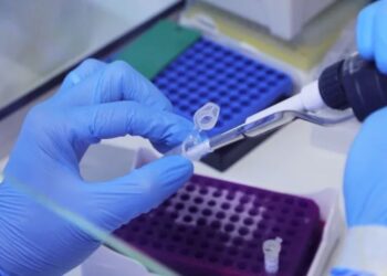 OMS diz que situação epidemiológica da varíola dos macacos no Brasil é “preocupante”