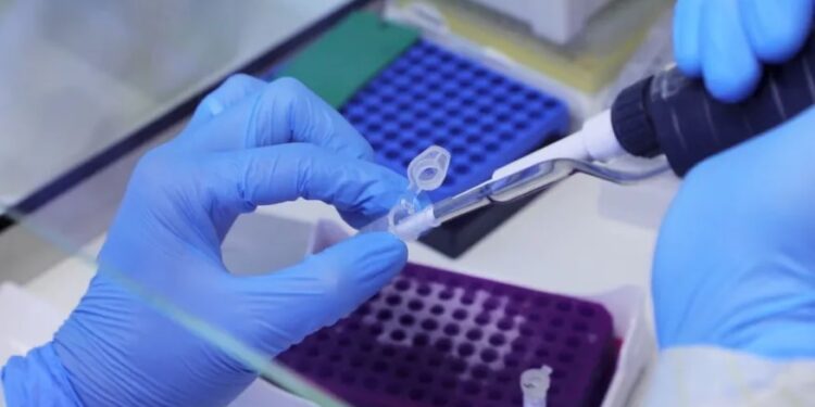 OMS diz que situação epidemiológica da varíola dos macacos no Brasil é “preocupante”