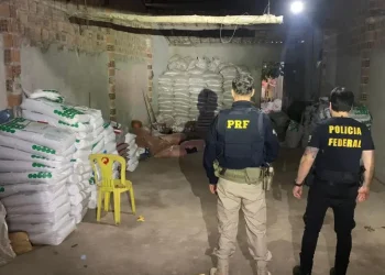 Operação “Terra Infértil”: Polícia Federal prende cinco suspeitos e cumpre 11 mandados de busca