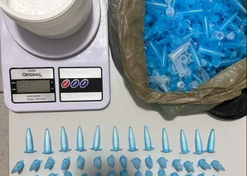 PC apreende cerca de 500g de cocaína e mais de 200 pinos em Lagarto