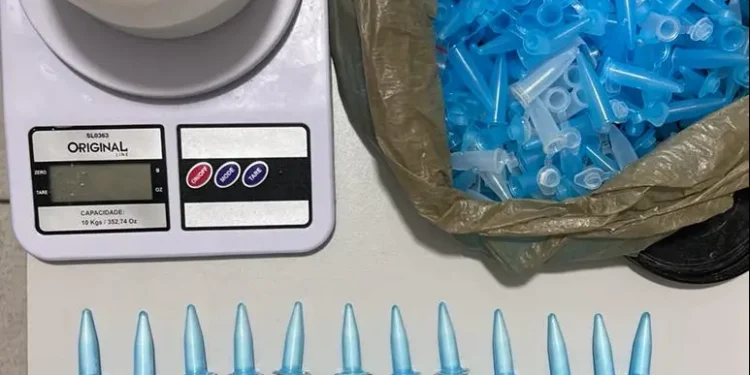 PC apreende cerca de 500g de cocaína e mais de 200 pinos em Lagarto