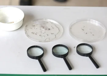 Dengue, chikungunya e zika: fique atento aos sintomas e quando procurar atendimento médicos