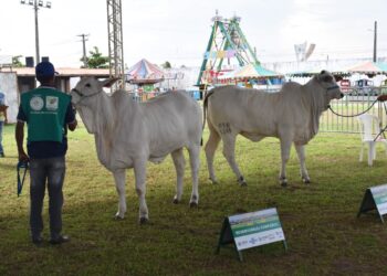 Feira Agropecuária do Estado de Sergipe acontece de 17 a 21 de agosto