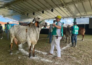 9ª Feira Agropecuária do Estado de Sergipe movimenta R$7 milhões em negócios