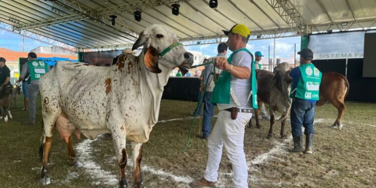 9ª Feira Agropecuária do Estado de Sergipe movimenta R$7 milhões em negócios