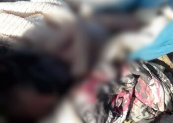 Corpo de bebê é encontrado em lixão no Agreste de Sergipe