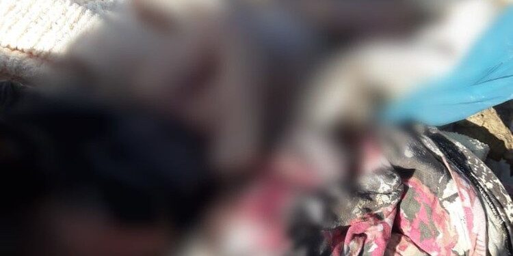 Corpo de bebê é encontrado em lixão no Agreste de Sergipe