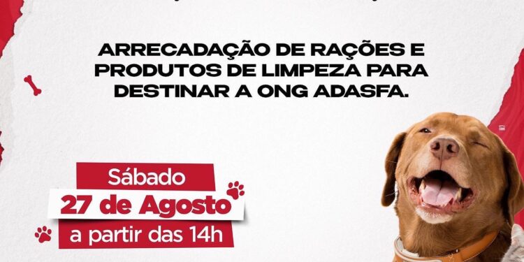 Em parceria com a ONG Adasfa, Club Solidário Aju promove campanha de doação de ração