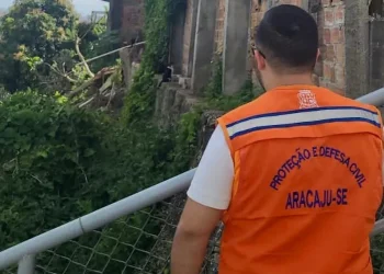 Defesa Civil atende ocorrências relacionadas aos ventos fortes