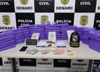 Homem é preso e 50 quilos de maconha são apreendidos em Nossa Senhora do Socorro