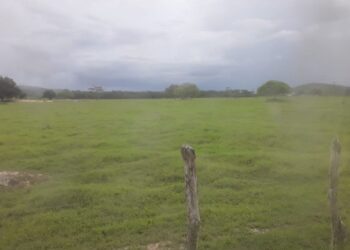 Meteorologia prevê tempo nublado para os próximos dias