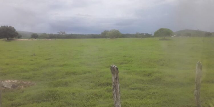 Meteorologia prevê tempo nublado para os próximos dias