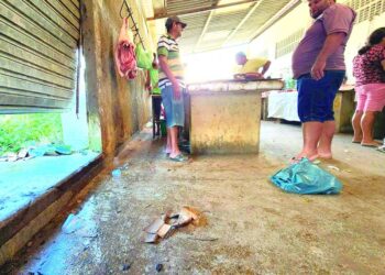 Mercado da Carne de Carira é o verdadeiro retrato do abandono, da imundície e do desrespeito