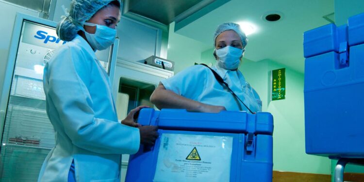 Ministério da Saúde lança campanha de doação de órgãos e tecidos