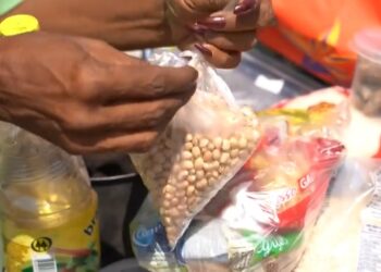 Três em cada dez famílias brasileiras não têm acesso suficiente a alimentos e passam fome