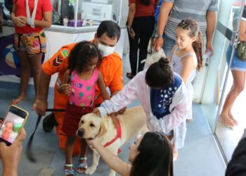 Hospital da Criança inicia terapia com cães para auxiliar no tratamento dos pequenos pacientes