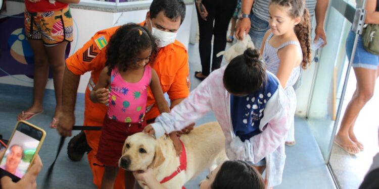 Hospital da Criança inicia terapia com cães para auxiliar no tratamento dos pequenos pacientes
