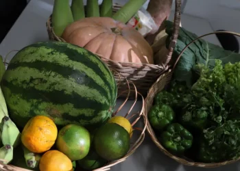 Seduc lança chamada pública para projeto de regionalização da alimentação escolar