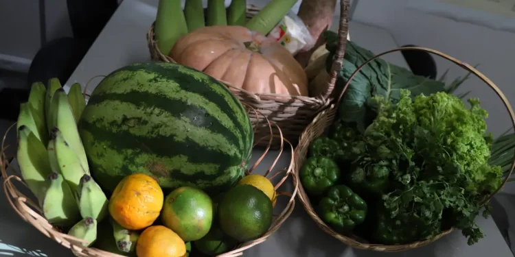 Seduc lança chamada pública para projeto de regionalização da alimentação escolar