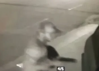 Policia divulga imagem do homicídio que vitimou motorista de aplicativo na Euclides Figueiredo